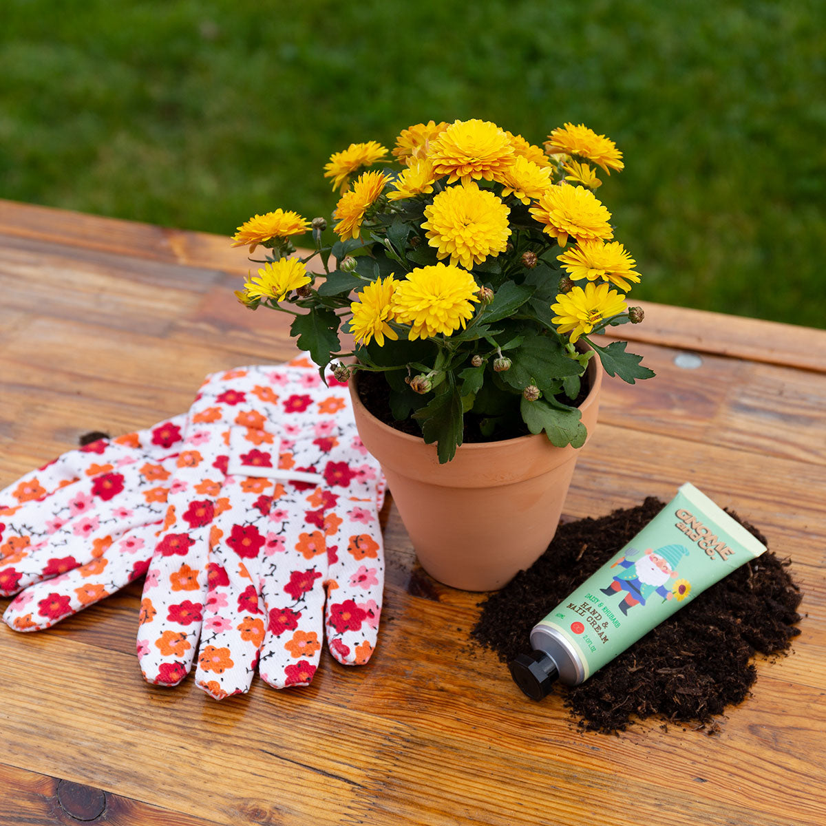 Handpflege-Set GNOME & CO. Detailansicht im dekorativen Blumentopf mit Gartenzwerg-Motiv und Pflegecreme
