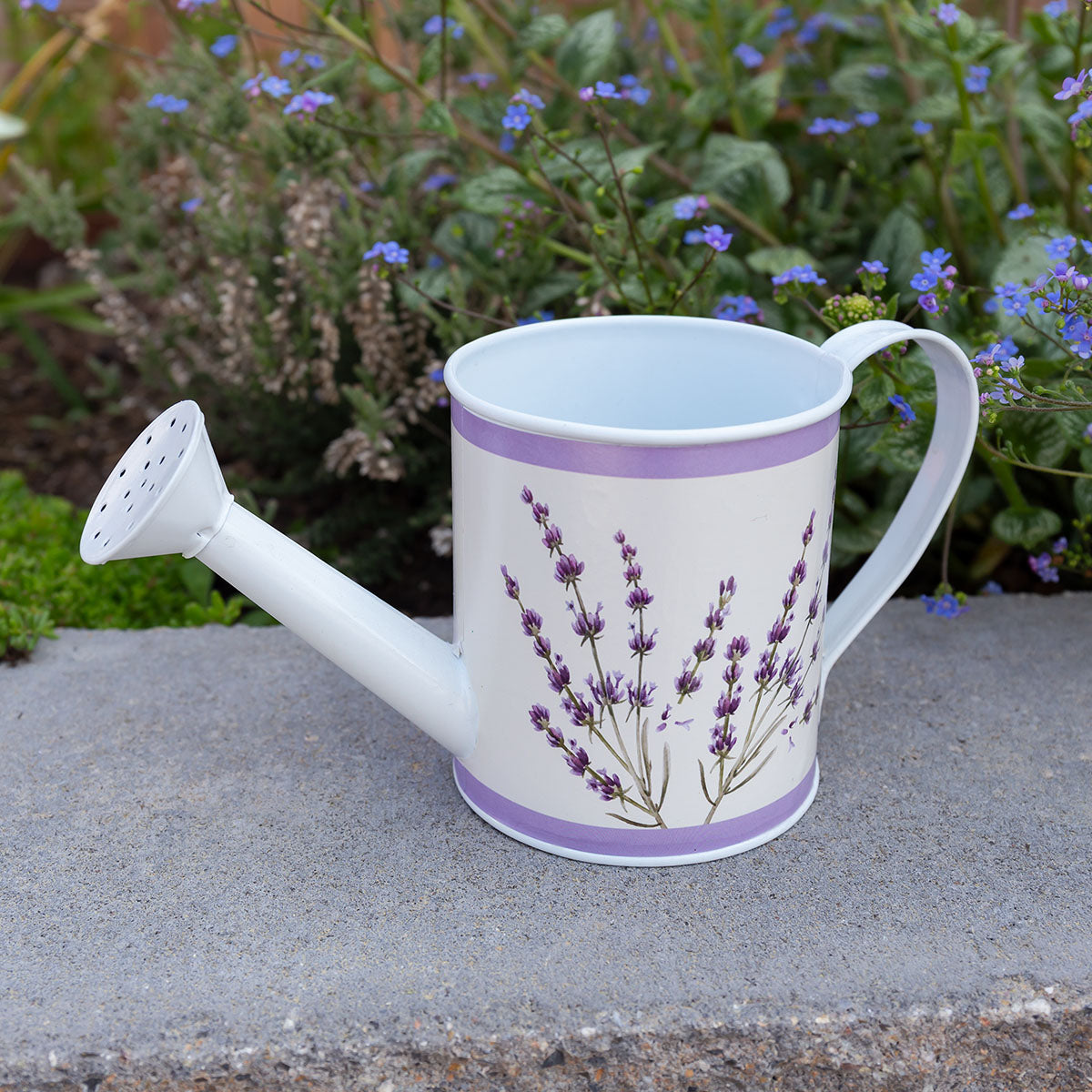 ESSENTIAL BOTANICS CLASSICS Einzelansicht : Gießkanne als Blumentopf verwendbar mit Badeset Lavendel-Duft